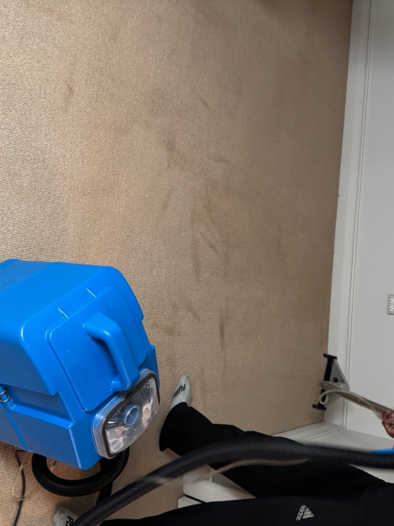 Untitled design (86)